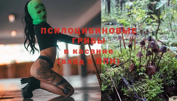 spice Аркадак