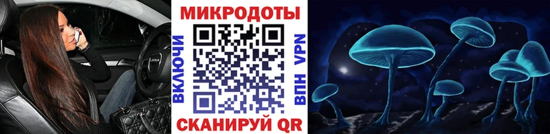 Псилоцибиновые грибы Cubensis  где найти   Белово 