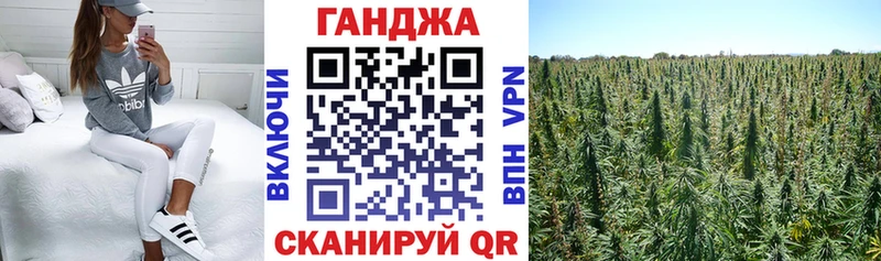 МАРИХУАНА семена  купить закладку  Белово 